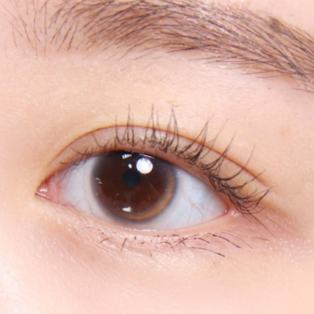 Vivienne Westwood Tiny Camel ｜每盒2片｜月拋 One Month