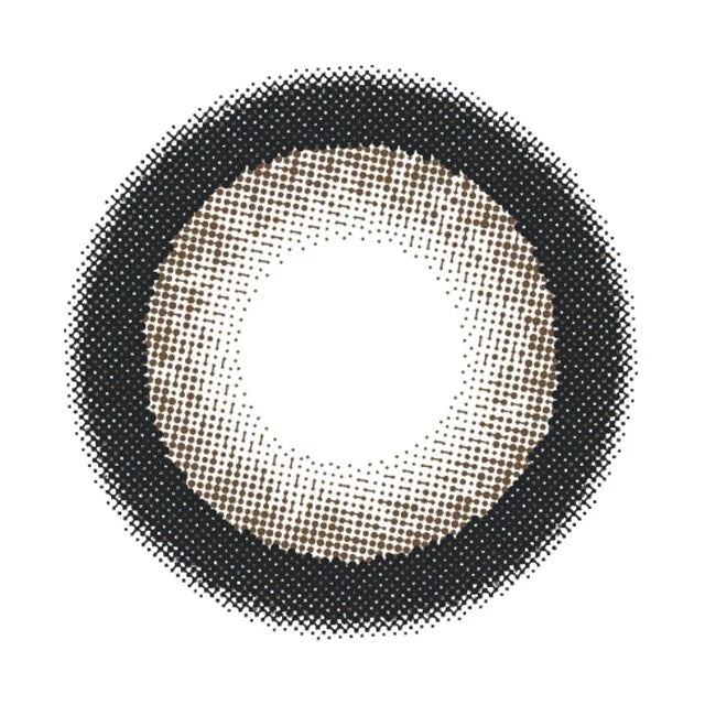 Flurry by Colors｜Ring Dark Brown｜每盒10片♡♡｜日拋DAYCON