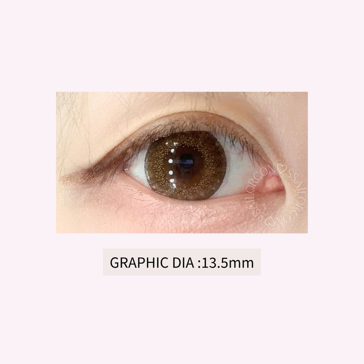 Pegavision JHAKA 1Day Brown 恬漾金棕 ｜每盒10片｜日拋 DAYCON