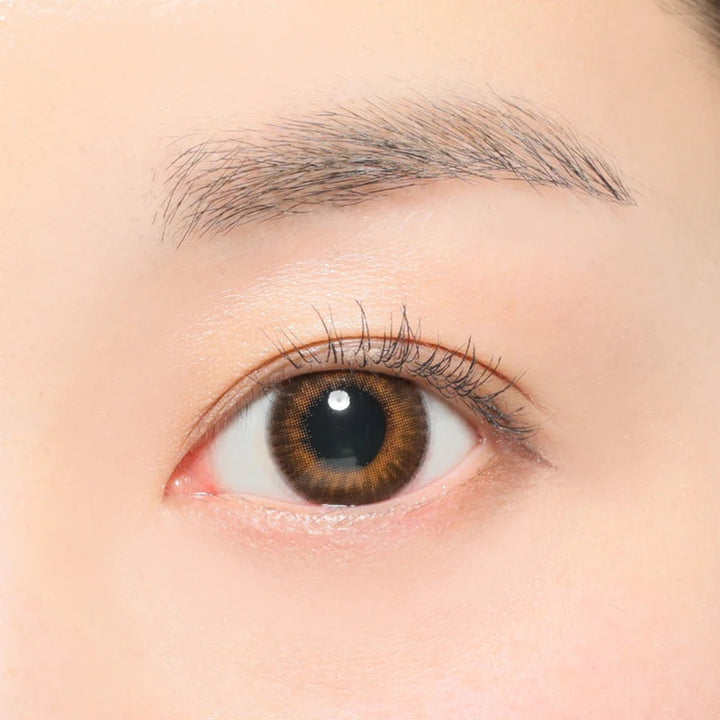 Candy Magic 1day｜Glass Brown｜每盒10片♡♡｜日拋DAYCON