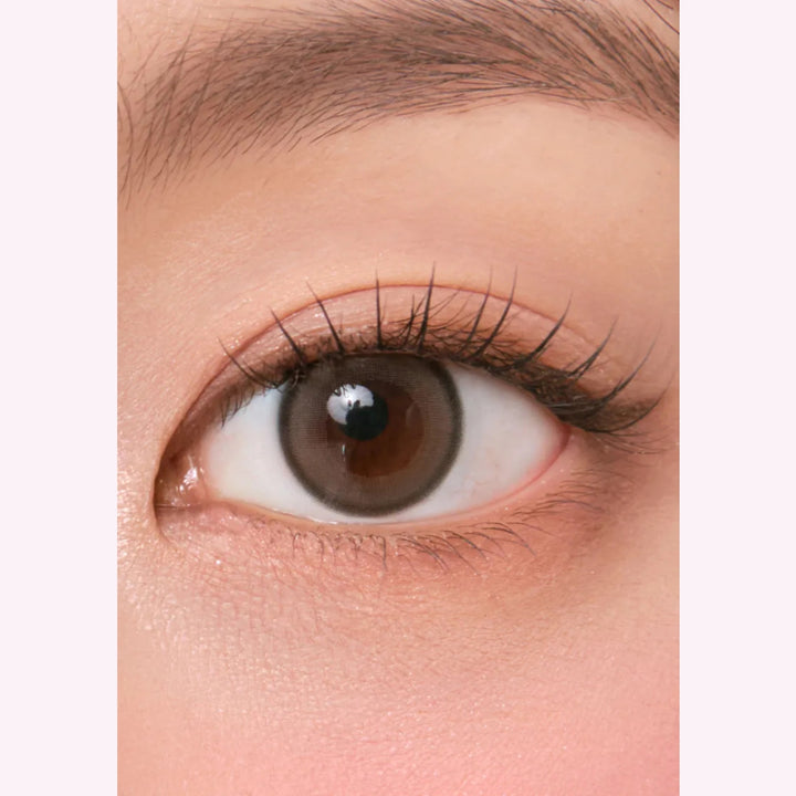 CHUU LENS Aery Rose 1 Day Lucid Gray｜每盒10片｜日拋 DAYCON