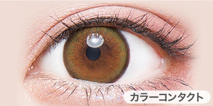 Flurry by Colors｜Light Khaki Brown｜每盒10片♡♡｜日拋DAYCON