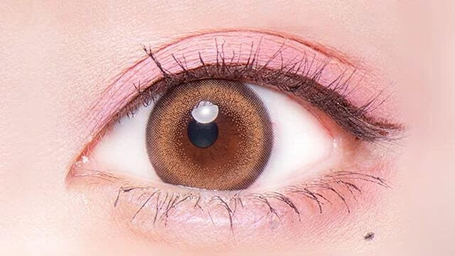 Flurry by Colors｜Ring Orange Brown｜每盒10片♡♡｜日拋DAYCON