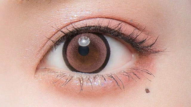 Flurry by Colors｜Ring Pink Brown｜每盒10片♡♡｜日拋DAYCON