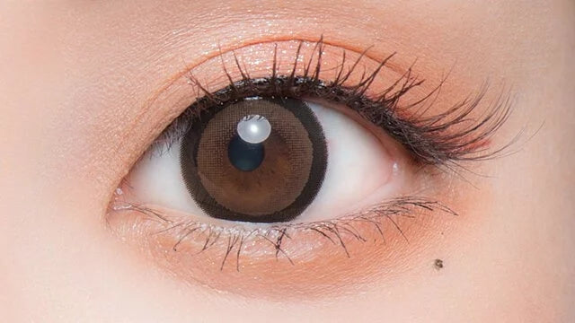 Flurry by Colors｜Ring Dark Brown｜每盒10片♡♡｜日拋DAYCON