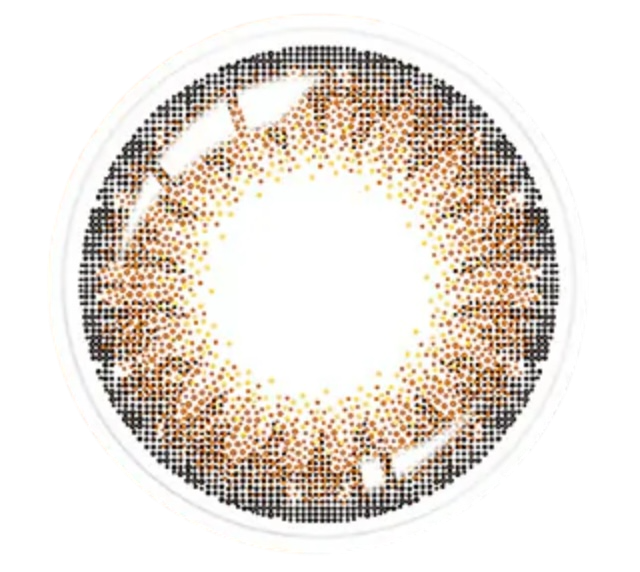 Pegavision JHAKA 1Day Brown 恬漾金棕 ｜每盒10片｜日拋 DAYCON