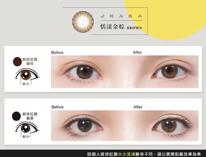 Pegavision JHAKA 1Day Brown 恬漾金棕 ｜每盒10片｜日拋 DAYCON