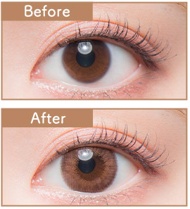 Flurry by Colors｜Mocha Dark Brown｜每盒10片♡♡｜日拋DAYCON