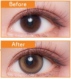 Flurry by Colors｜Ring Orange Brown｜每盒10片♡♡｜日拋DAYCON