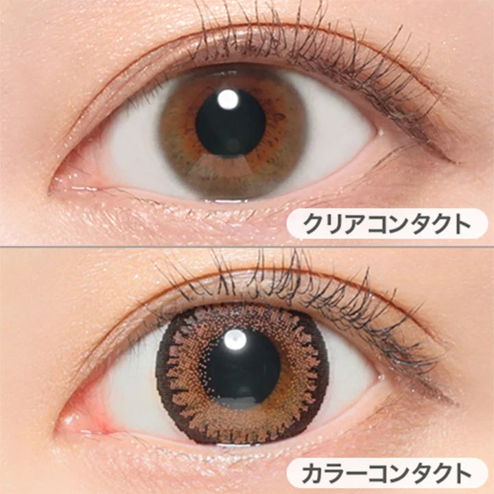 Candy Magic 1day｜Sugar Brown｜每盒10片♡♡｜日拋DAYCON