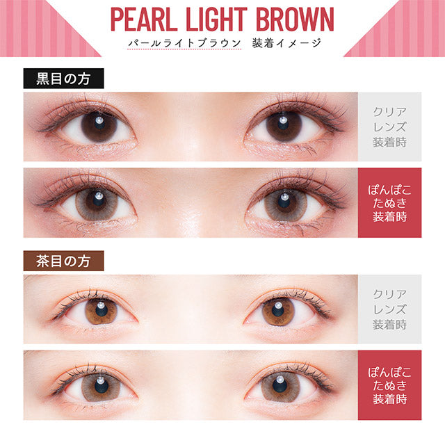 Flurry by Colors｜Pearl Light Brown｜每盒10片♡♡｜日拋DAYCON