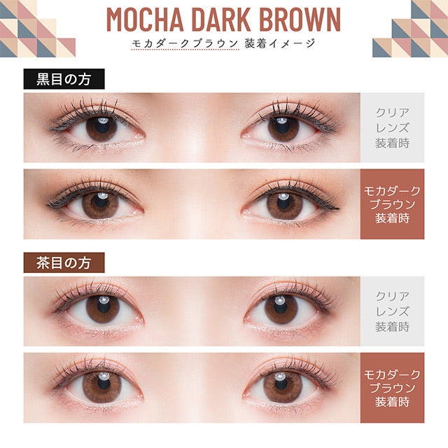 Flurry by Colors｜Mocha Dark Brown｜每盒10片♡♡｜日拋DAYCON
