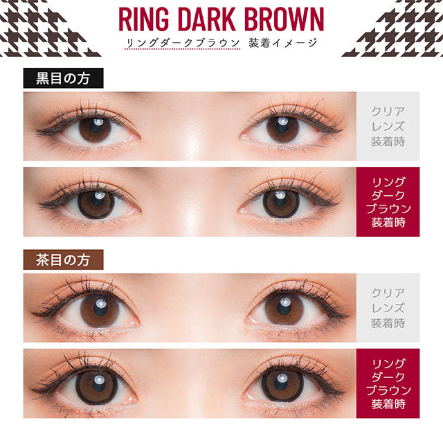 Flurry by Colors｜Ring Dark Brown｜每盒10片♡♡｜日拋DAYCON