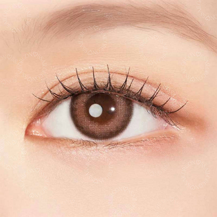 CLALEN彩色CON｜Clalen Iris 1 Day Pink Tulip Brown 日拋隱形眼鏡｜每盒10片♡♡｜日拋one day