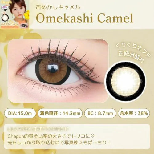 Chapun 1 Day Omekashi Camel｜每盒10片｜日拋 Daycon eye
