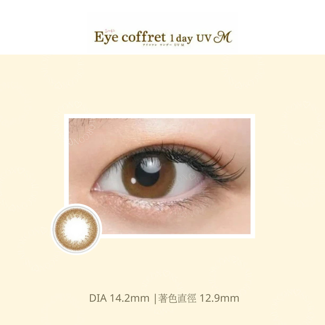 EYE COFFRET 1day UV M｜Casual make｜每盒10片/30片♡♡｜日拋DAYCON