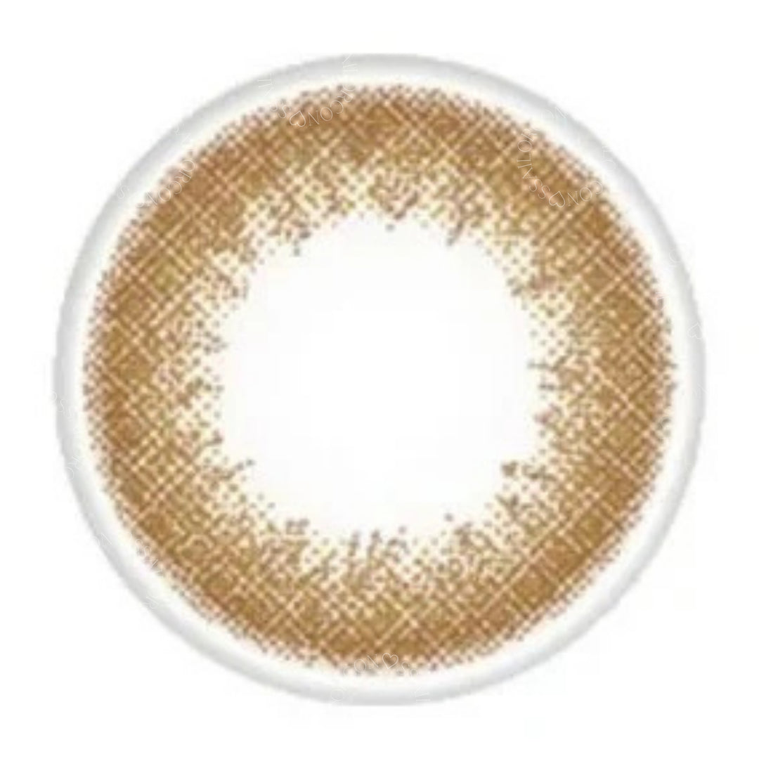 EYE COFFRET 1day UV M｜Casual make｜每盒10片/30片♡♡｜日拋DAYCON