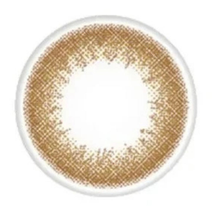 EYE COFFRET 1day UV M｜Casual make｜每盒10片/30片♡♡｜日拋DAYCON