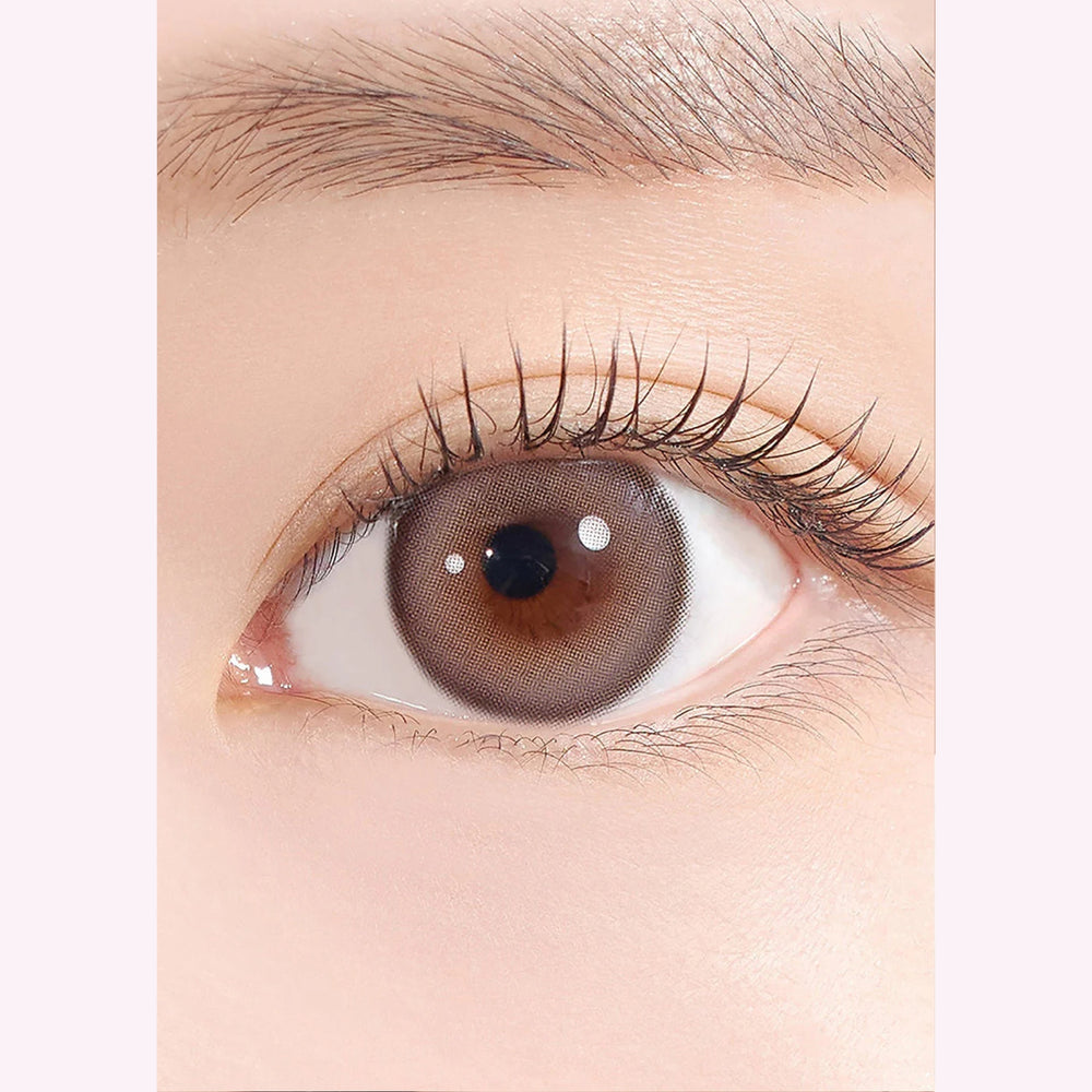 sugar-high-kristin-ash-choco-灰巧克棕-lens-zoom