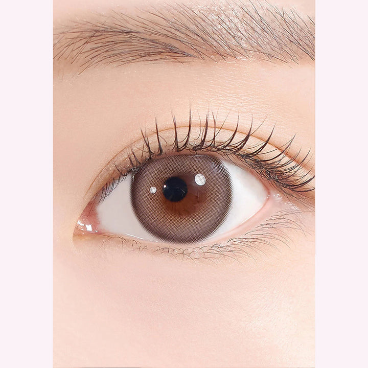 sugar-high-kristin-ash-choco-灰巧克棕-lens-zoom