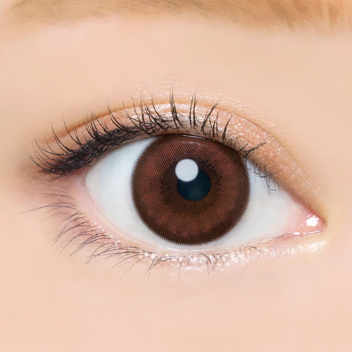 #Cassis Brown 黑加侖棕 AngelColor Bambi Series - 視覺效果展示 SSAILORCON