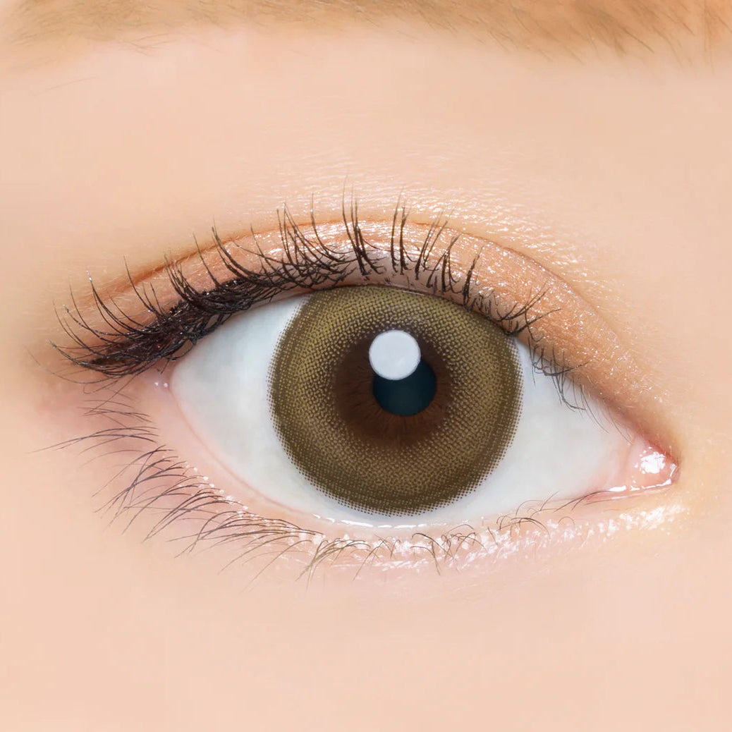 #Lemon Hazel 檸檬榛棕 AngelColor Bambi Series - 視覺效果展示 SSAILORCON