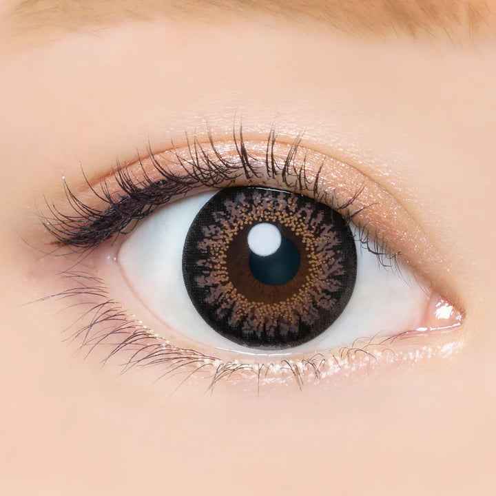 #Chocolat 巧克力棕 AngelColor Bambi Series - 視覺效果展示 SSAILORCON