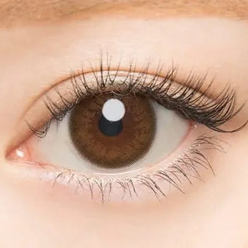 #Natural Brown AngelColor Bambi Series - 視覺效果展示 SSAILORCON