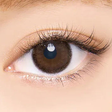 #Natural Pure Brown AngelColor Bambi Series - 視覺效果展示 SSAILORCON