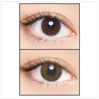 #Natural Pure Olive AngelColor Bambi Series - 視覺效果展示 SSAILORCON