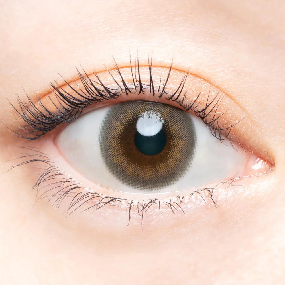 #Vintage Grege AngelColor Bambi Series - 視覺效果展示 SSAILORCON