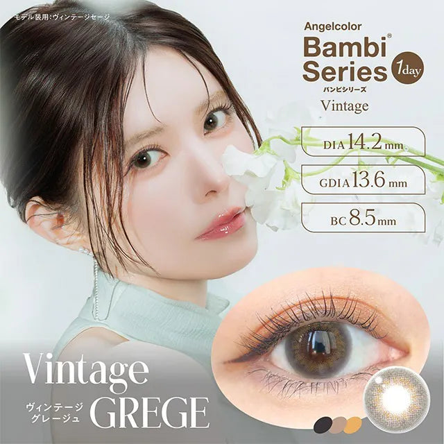 #Vintage Grege AngelColor Bambi Series - 100% 韓國原裝正貨代購 SSAILORCON