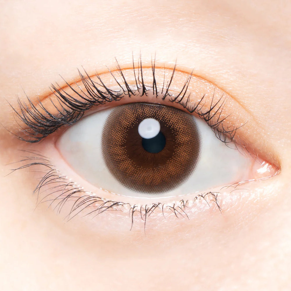 #Vintage Bear AngelColor Bambi Series - 視覺效果展示 SSAILORCON