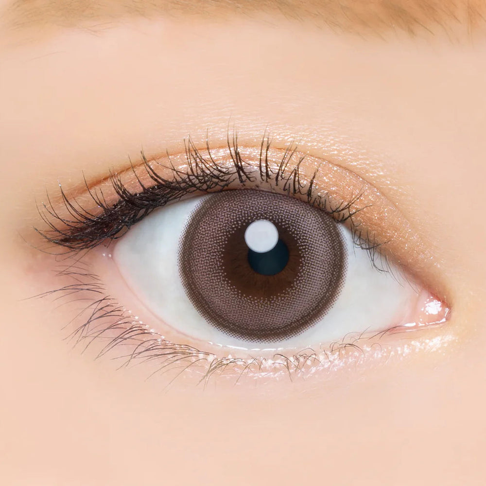 #Rose Beige AngelColor Bambi Series - 視覺效果展示 SSAILORCON