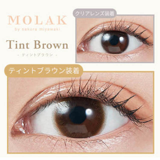TINT BROWN｜MOLAK｜每盒10片♡♡｜日拋DAYCON