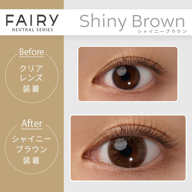 Shiny Brown｜FAIRY 1Day NEUTRAL SERIES｜每盒10片♡♡｜日拋DAYCON