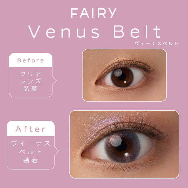 Venus Belt｜FAIRY 1 Day Shimmering Series Highlighter｜每盒10片♡♡｜日拋DAYCON