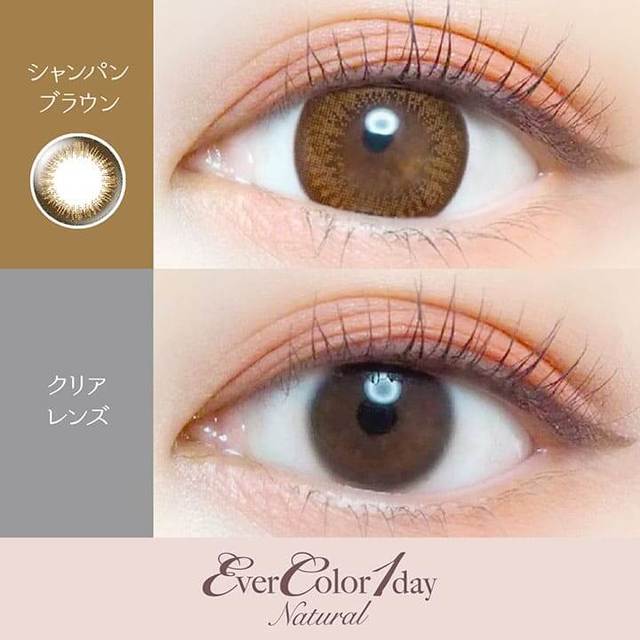 Champagne Brown｜Ever Color 1day Natural｜每盒20片♡♡｜日拋DAYCON