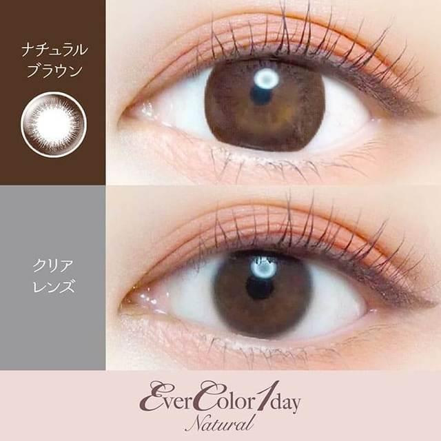 Natural Brown｜Ever Color 1day Natural｜每盒20片♡♡｜日拋DAYCON