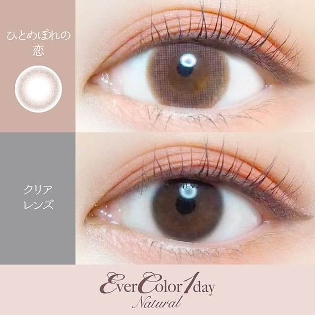 Hitomebore no Koi｜Ever Color 1day Natural｜每盒20片♡♡｜日拋DAYCON