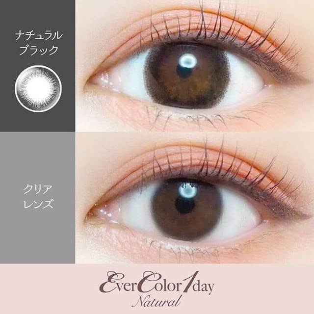 Natural Black｜Ever Color 1day Natural｜每盒20片♡♡｜日拋DAYCON
