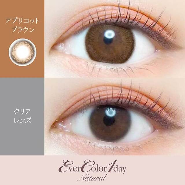 Apricot Brown｜Ever Color 1day Natural｜每盒20片♡♡｜日拋DAYCON