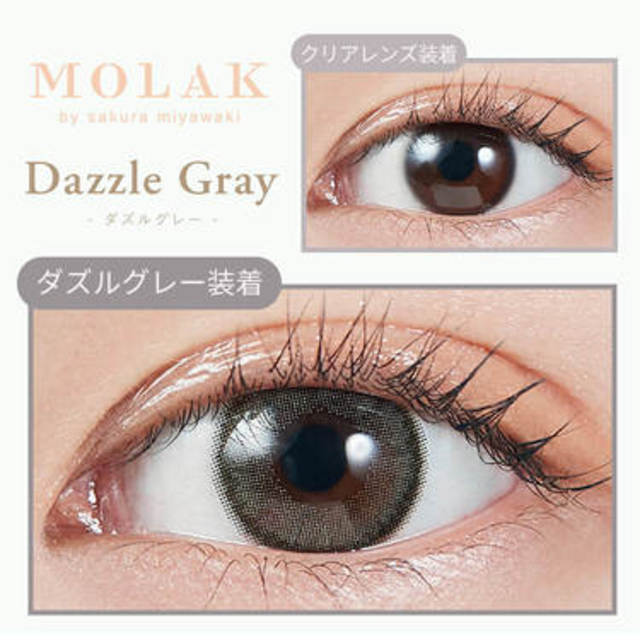 DAZZLE GRAY｜MOLAK｜每盒10片♡♡｜日拋DAYCON