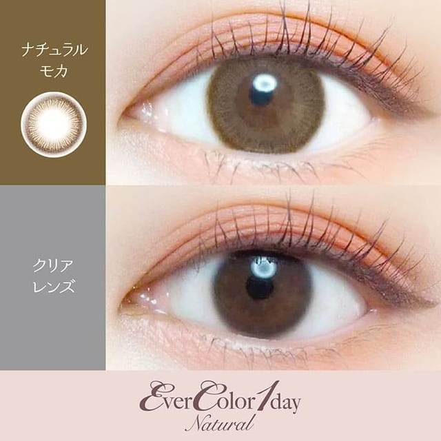 Natural Mocha｜Ever Color 1day Natural｜每盒20片♡♡｜日拋DAYCON