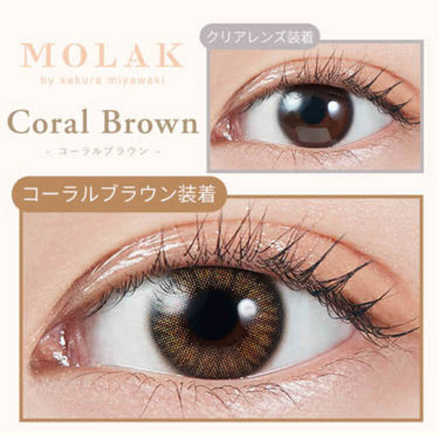 CORAL BROWN｜MOLAK｜每盒10片♡♡｜日拋DAYCON
