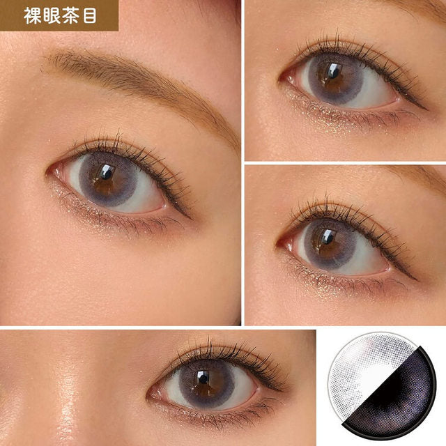 Venus Belt｜FAIRY 1 Day Shimmering Series Highlighter｜每盒10片♡♡｜日拋DAYCON