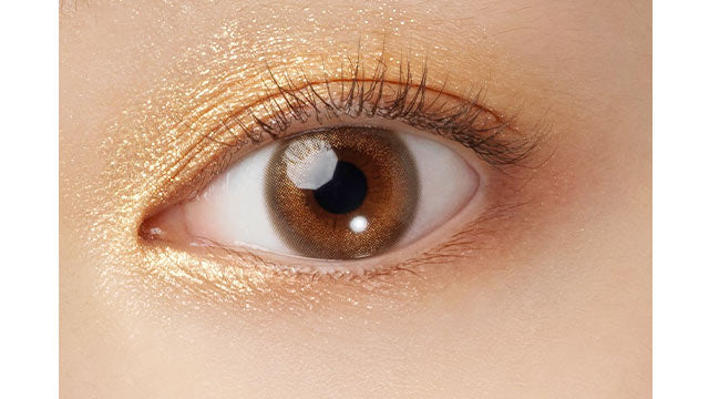 Silky Ginger｜FAIRY 1 Day Shimmering Series Highlighter｜每盒10片♡♡｜日拋DAYCON