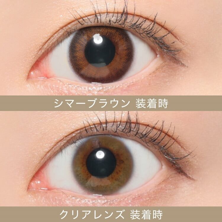 Secret Candy Magic｜Shimmer Brown｜每盒20片♡♡｜日拋DAYCON