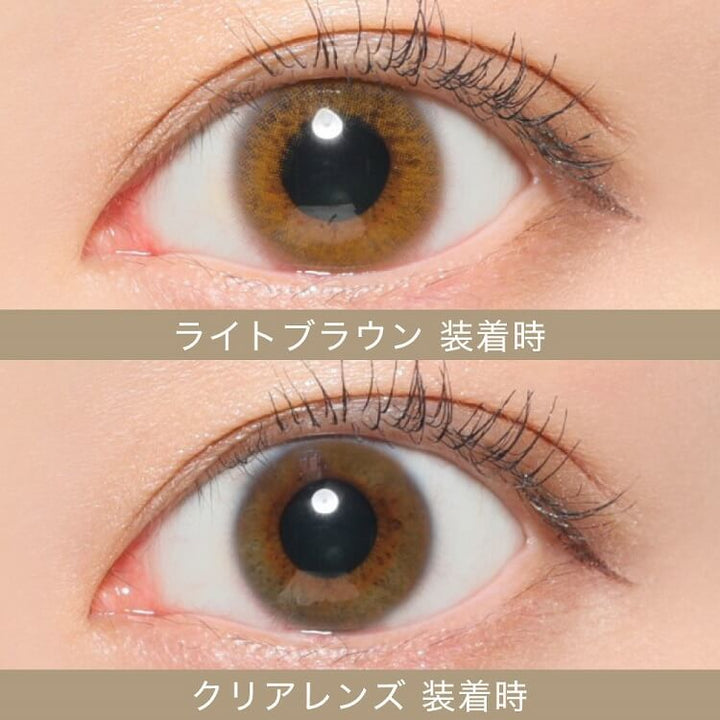 Secret Candy Magic｜Light Brown｜每盒20片♡♡｜日拋DAYCON