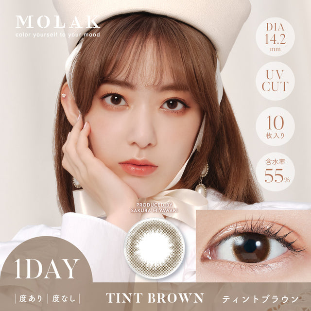 TINT BROWN｜MOLAK｜每盒10片♡♡｜日拋DAYCON
